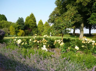 The garden at West Acre House