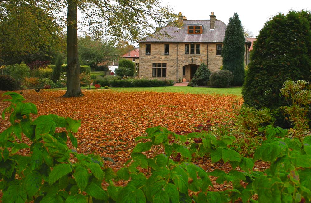 The garden at West Acre House