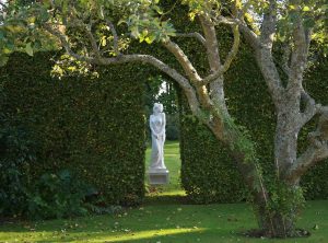 The garden at West Acre House