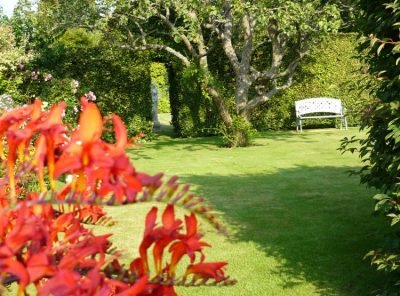 The garden at West Acre House