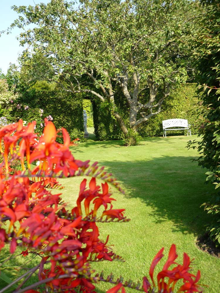 The garden at West Acre House